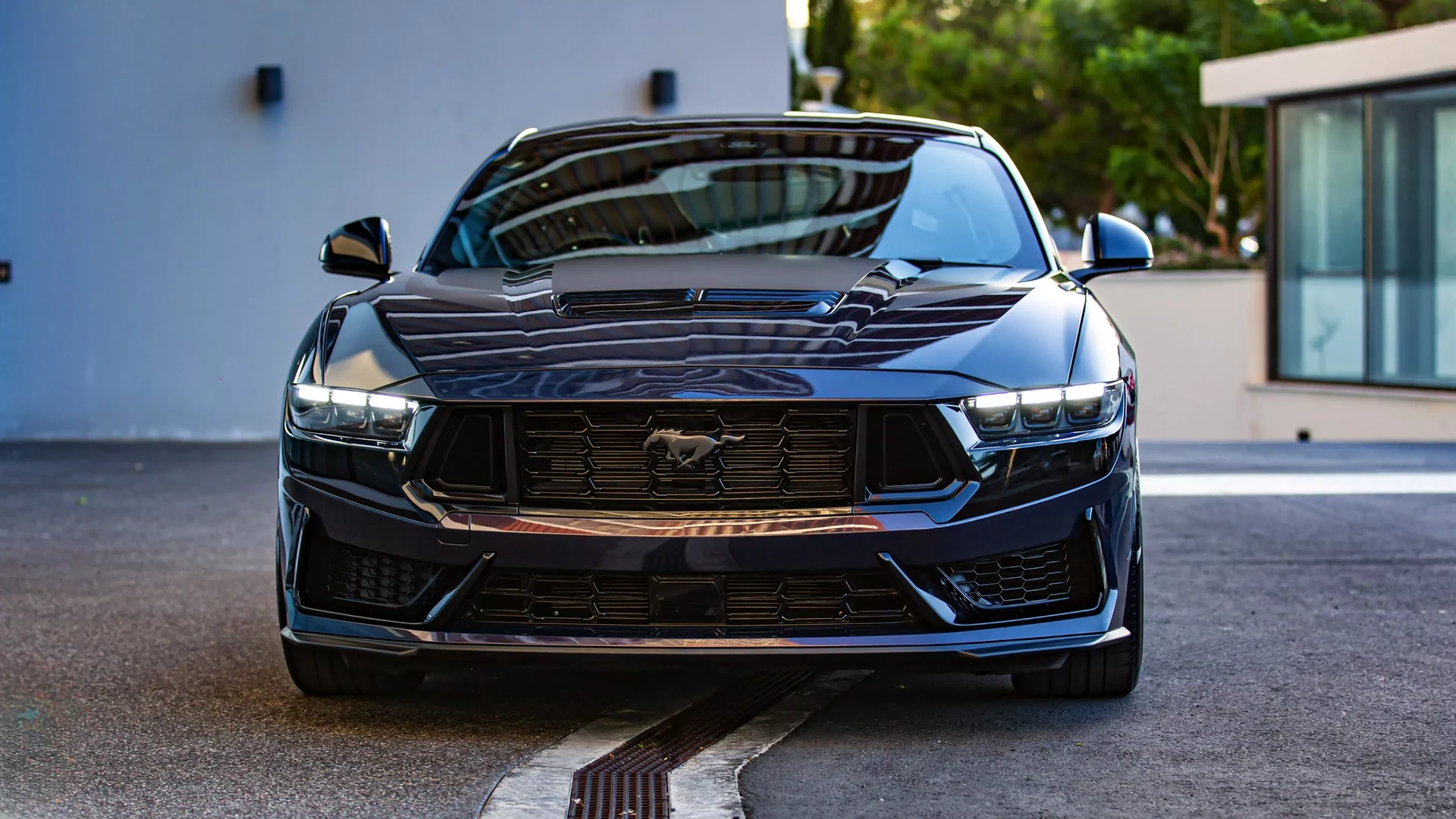 Ford Mustang Dark Horse #64 Photo 3