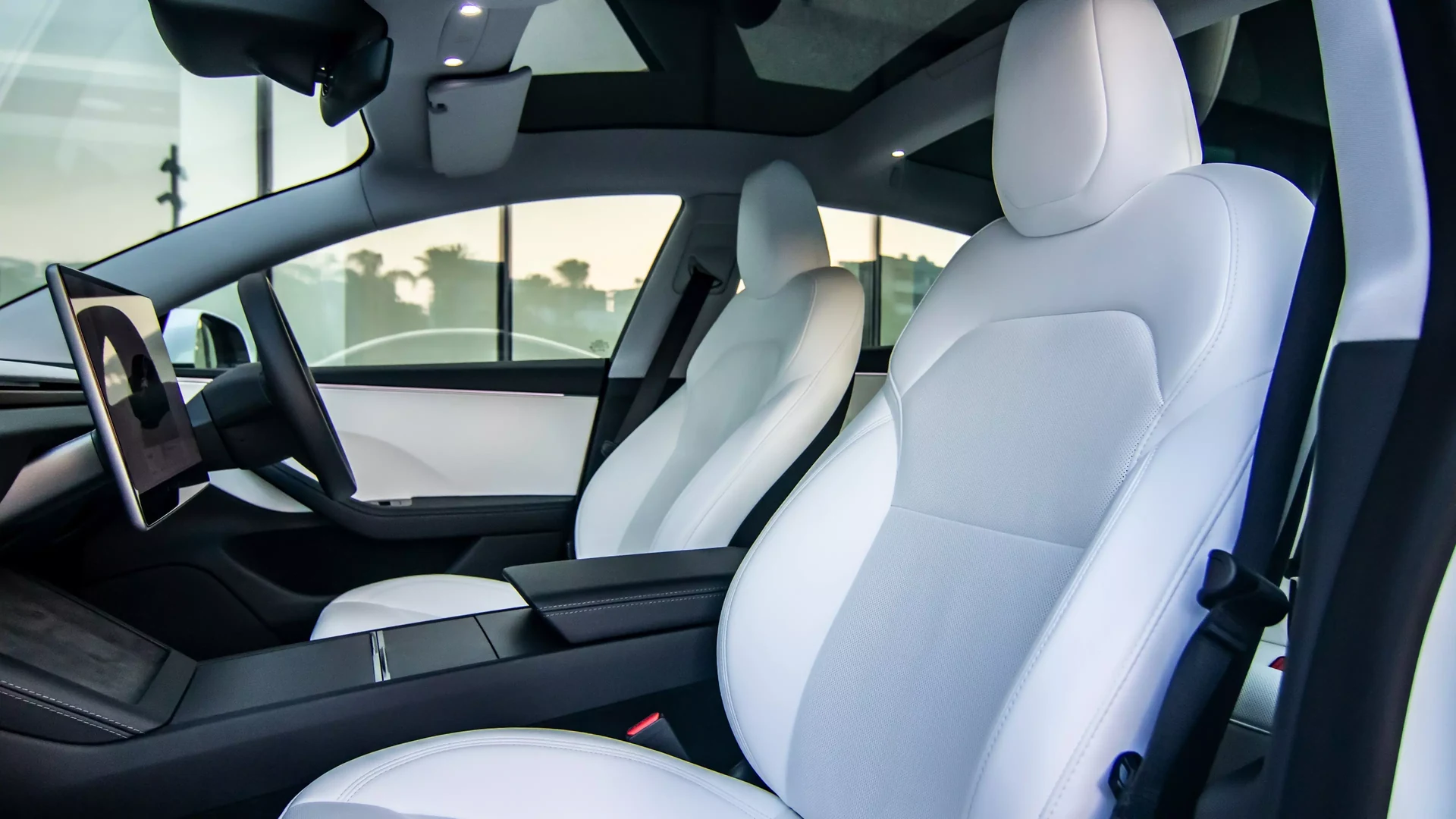 Tesla Model 3 RWD #55 Photo 10