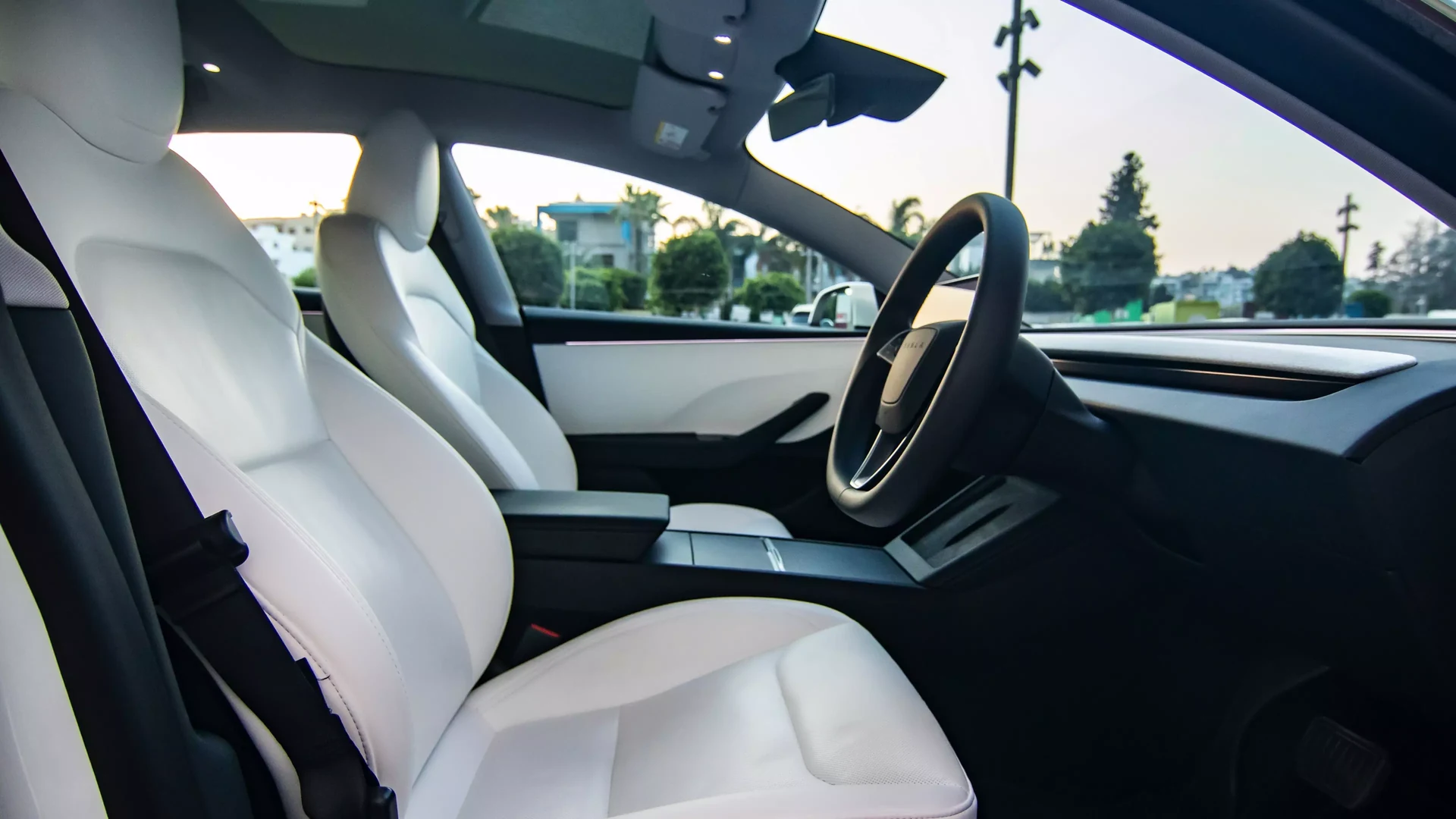 Tesla Model 3 RWD #55 Photo 7